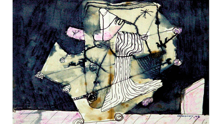 MAISON DE LA LIBERTÉ MÁRIO CESARINY