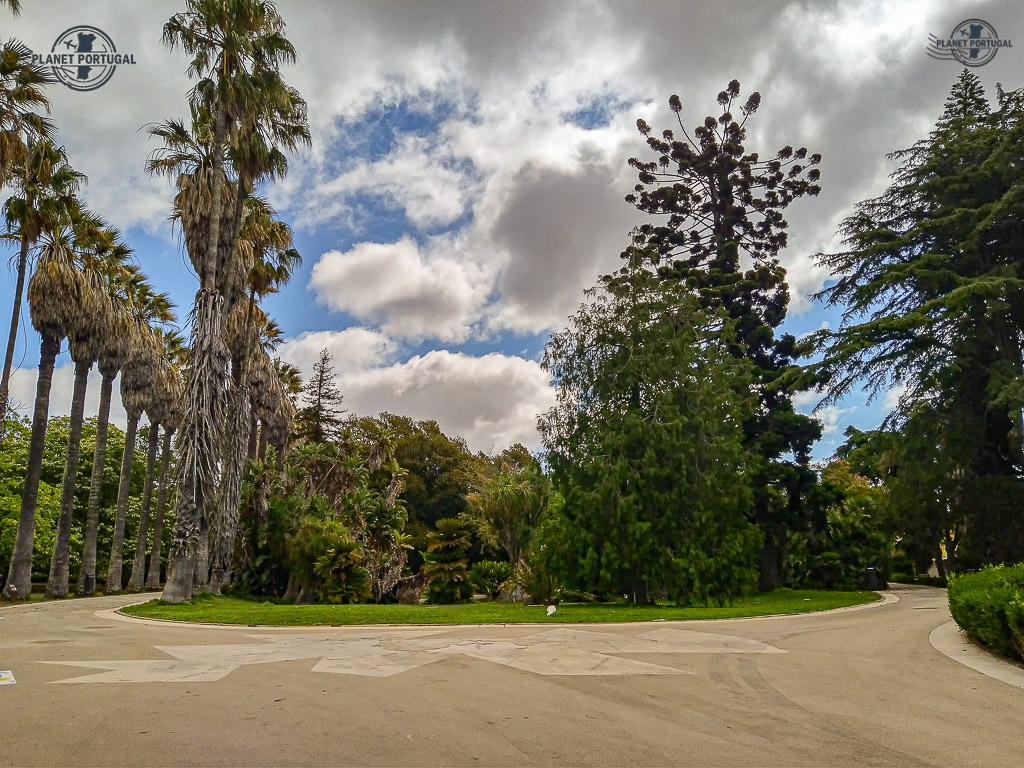 JARDIN BOTÂNICO (ou JARDIN DE ULTRAMAR)