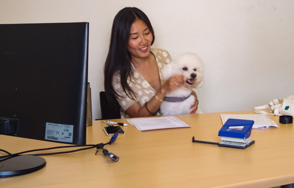 APPRENDRE LE PORTUGAIS À LISBONNE